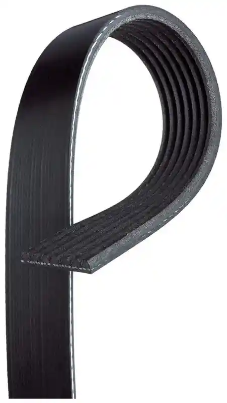 GATES 7PK1113