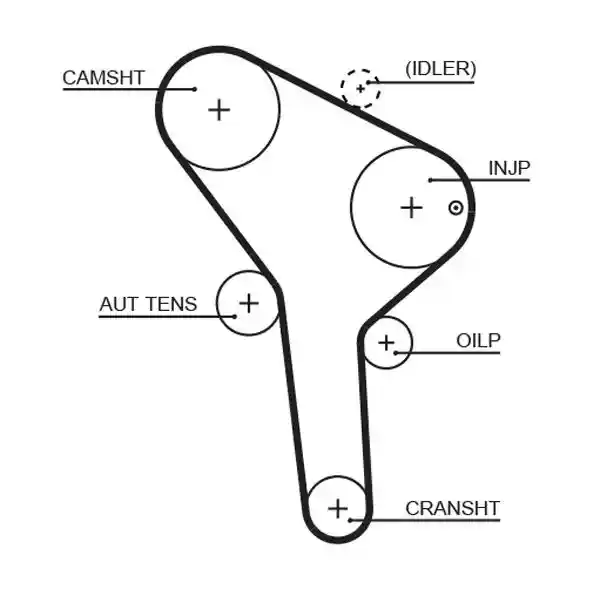 GATES K025564XS