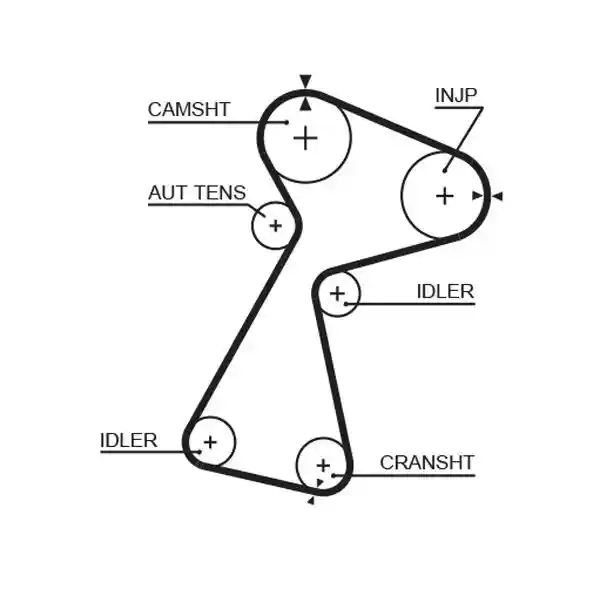 GATES K035561XS