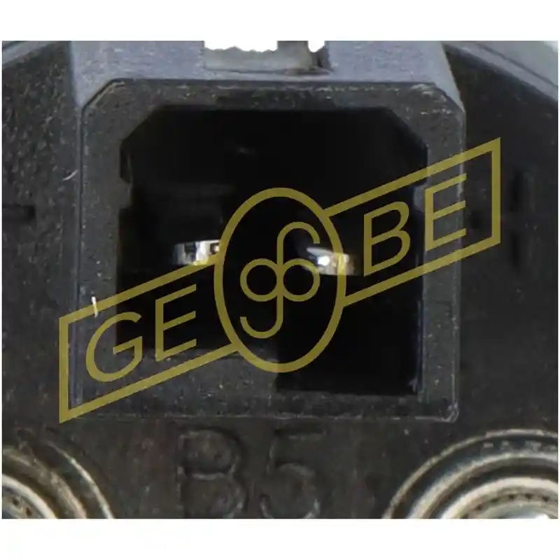 GEBE 9 6169 1