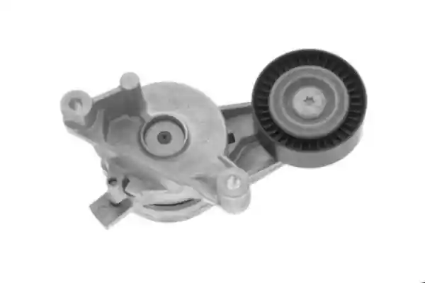 GOOM BT-0061