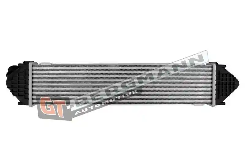 GT-BERGMANN Automotive GT12-039