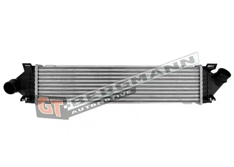 GT-BERGMANN Automotive GT12-039