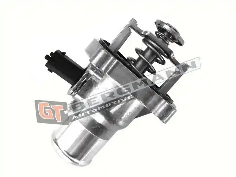 GT-BERGMANN Automotive GT17-027