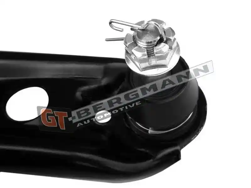 GT-BERGMANN Automotive GT20-187