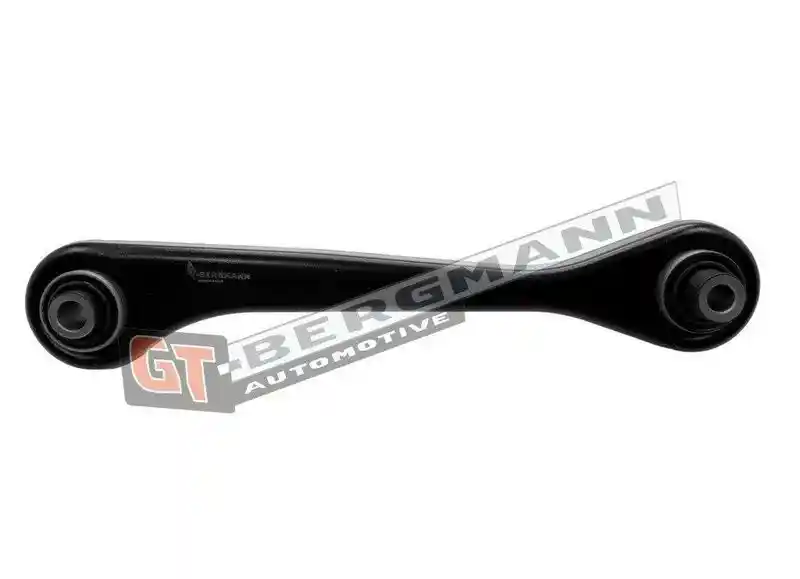 GT-BERGMANN Automotive GT20-233