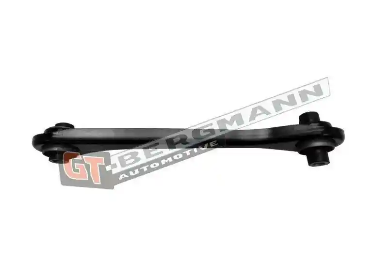 GT-BERGMANN Automotive GT20-233