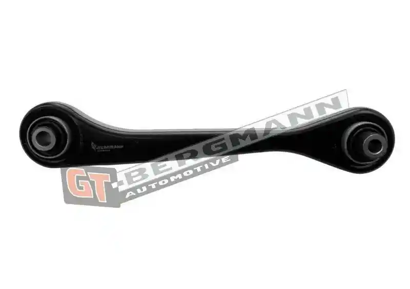 GT-BERGMANN Automotive GT20-234