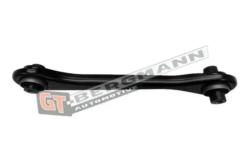 GT-BERGMANN Automotive GT20-234