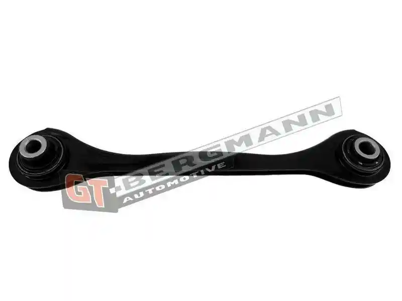 GT-BERGMANN Automotive GT20-237