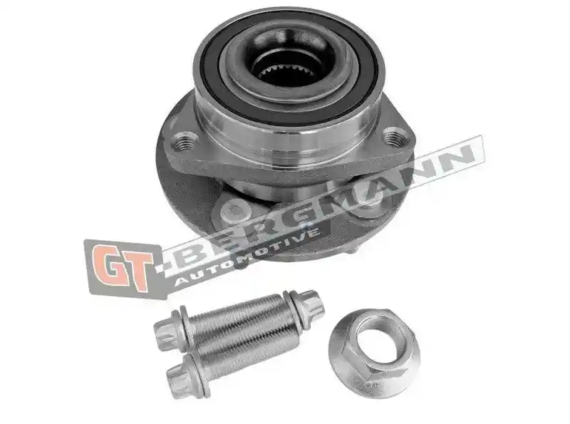 GT-BERGMANN Automotive GT24-195