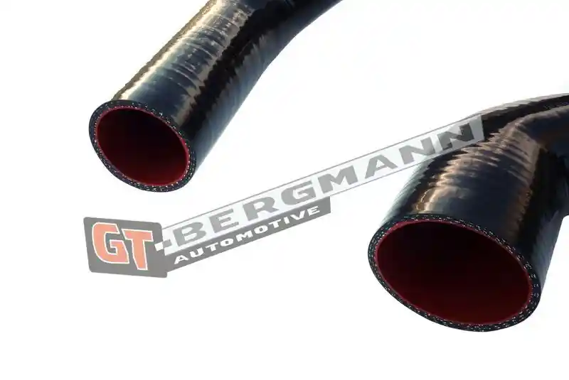 GT-BERGMANN Automotive GT52-147
