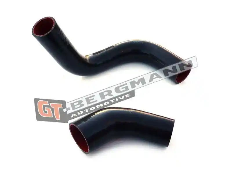 GT-BERGMANN Automotive GT52-147