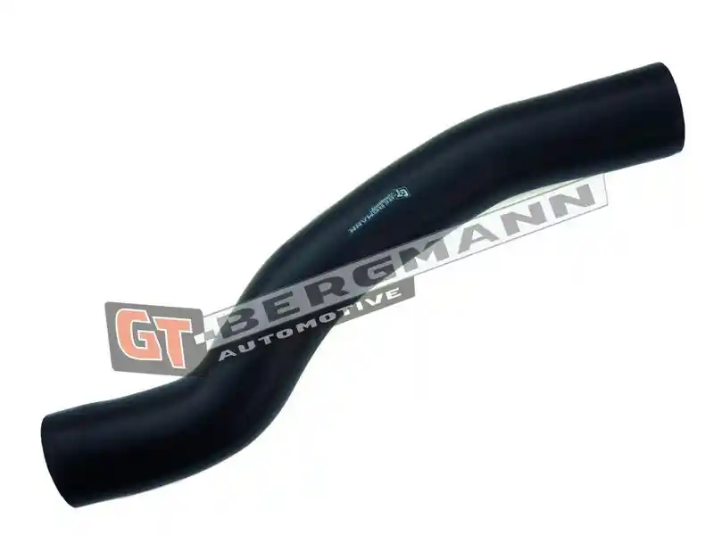 GT-BERGMANN Automotive GT52-178