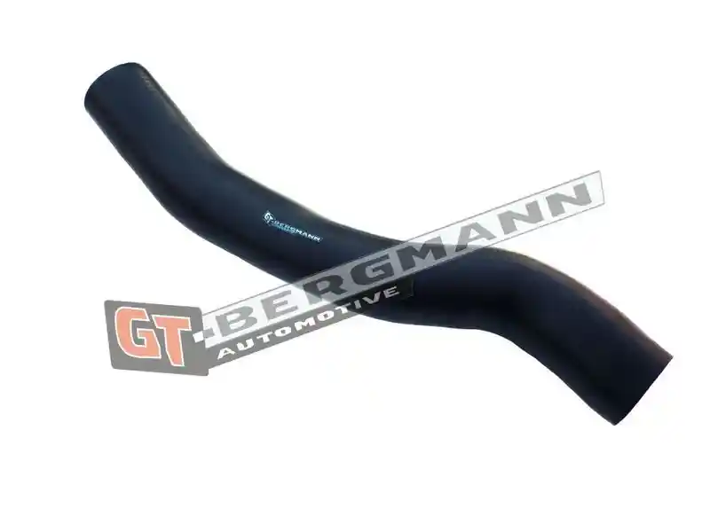GT-BERGMANN Automotive GT52-178