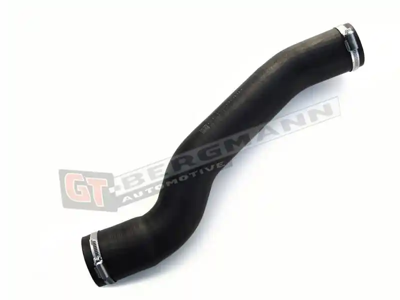 GT-BERGMANN Automotive GT52-179
