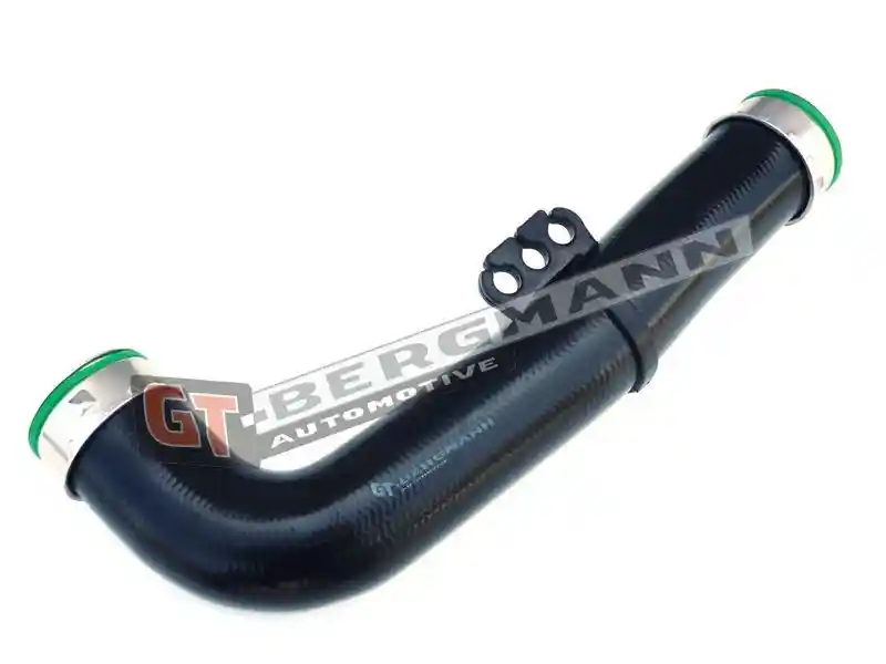 GT-BERGMANN Automotive GT52-197