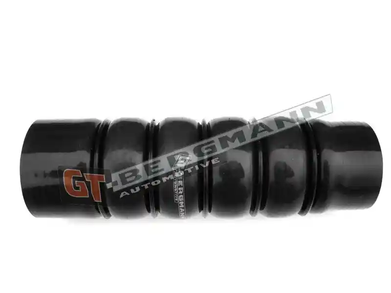GT-BERGMANN Automotive GT52-211
