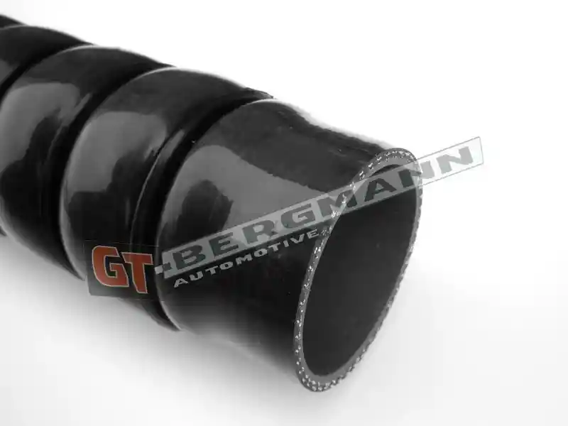 GT-BERGMANN Automotive GT52-211