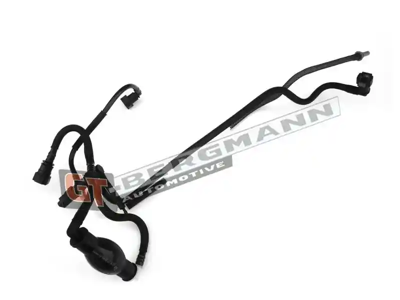 GT-BERGMANN Automotive GT52-219