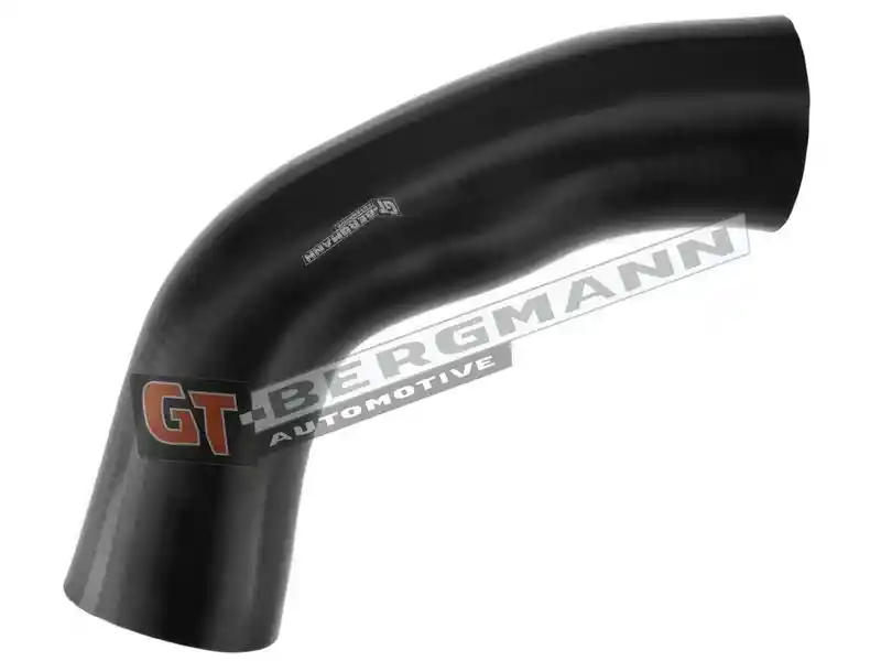 GT-BERGMANN Automotive GT52-316
