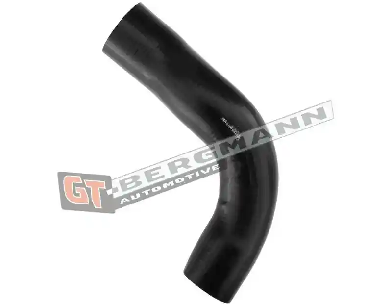 GT-BERGMANN Automotive GT52-317