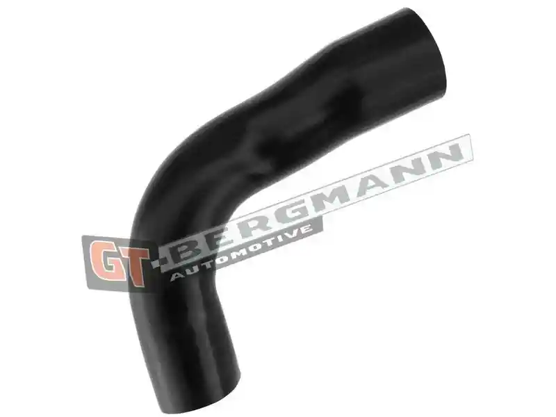 GT-BERGMANN Automotive GT52-317