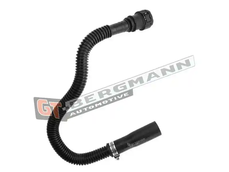 GT-BERGMANN Automotive GT52-348