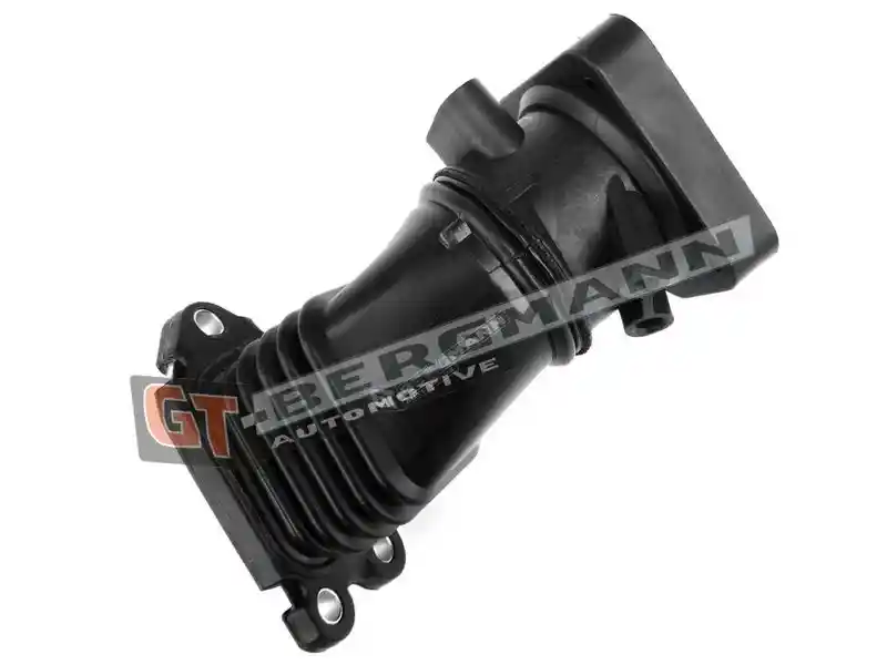 GT-BERGMANN Automotive GT52-429