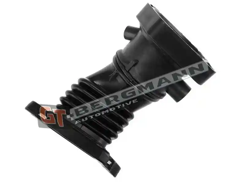 GT-BERGMANN Automotive GT52-429