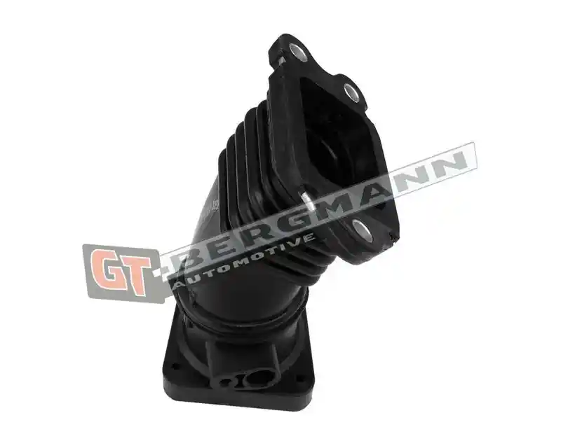 GT-BERGMANN Automotive GT52-429