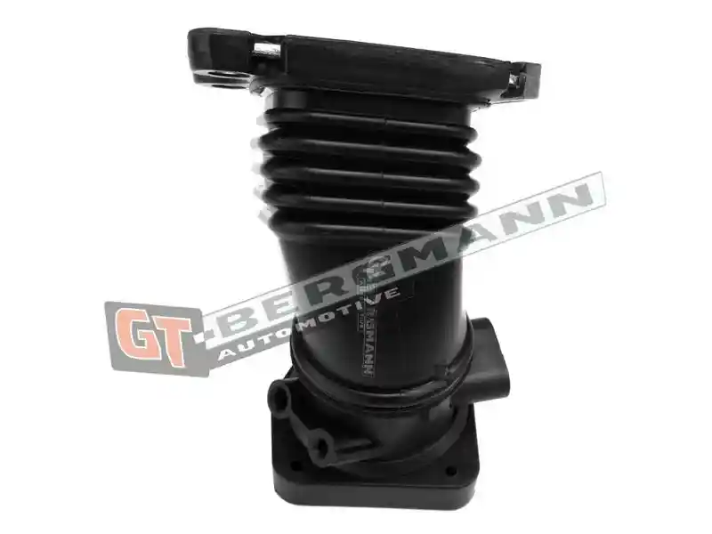 GT-BERGMANN Automotive GT52-429