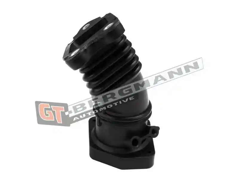 GT-BERGMANN Automotive GT52-429