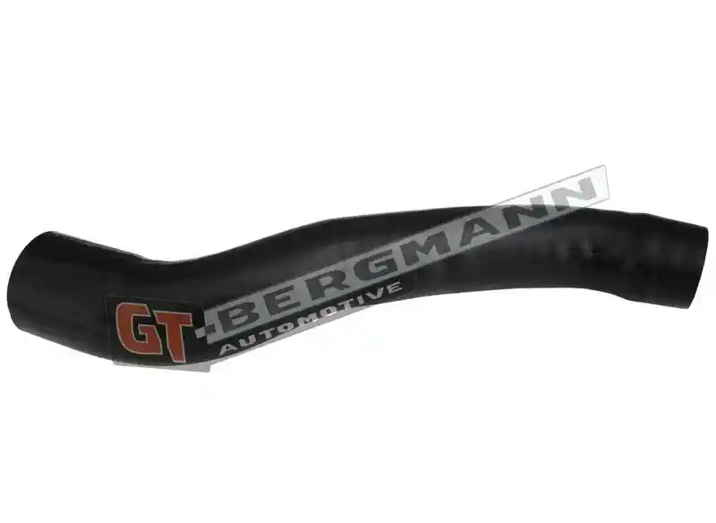 GT-BERGMANN Automotive GT52-444