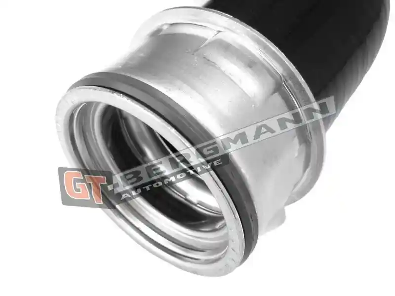 GT-BERGMANN Automotive GT52-461