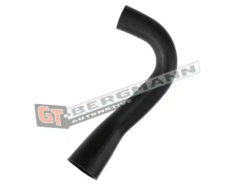 GT-BERGMANN Automotive GT52-535