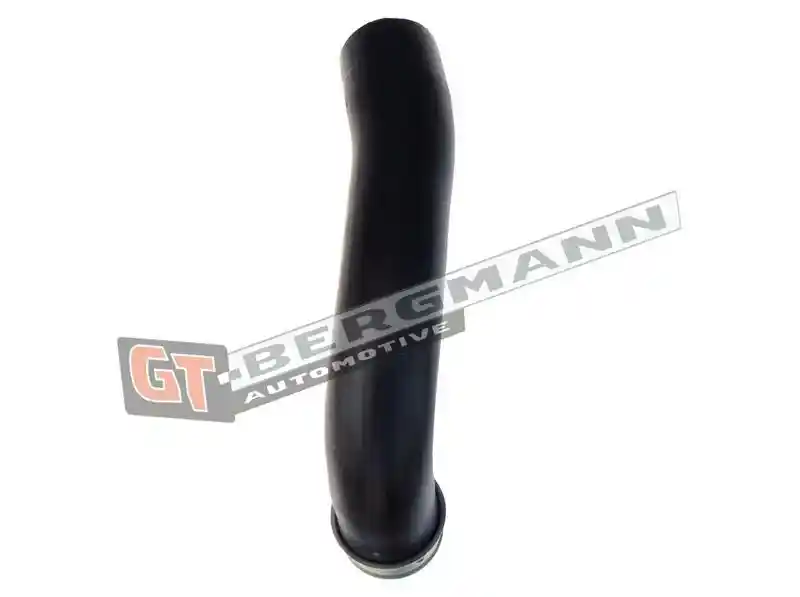 GT-BERGMANN Automotive GT52-576
