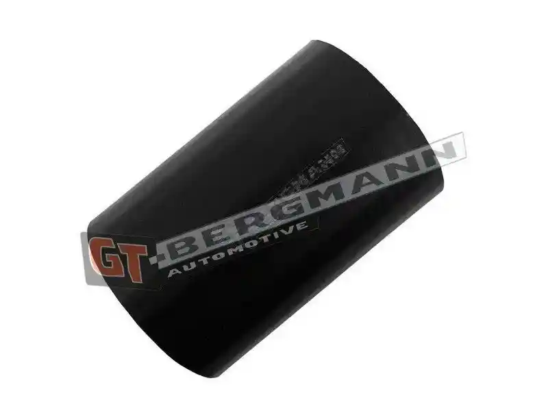 GT-BERGMANN Automotive GT52-583