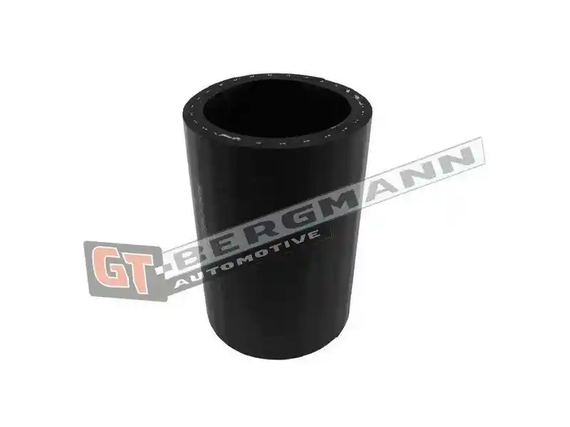 GT-BERGMANN Automotive GT52-583