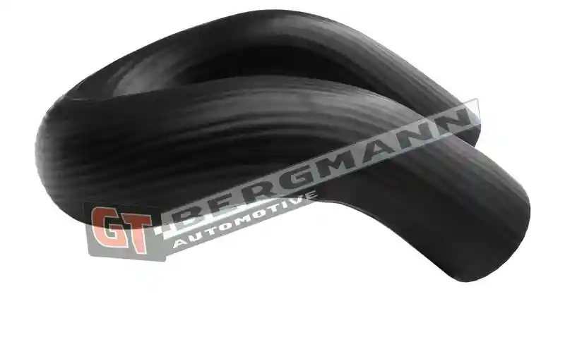 GT-BERGMANN Automotive GT52-604