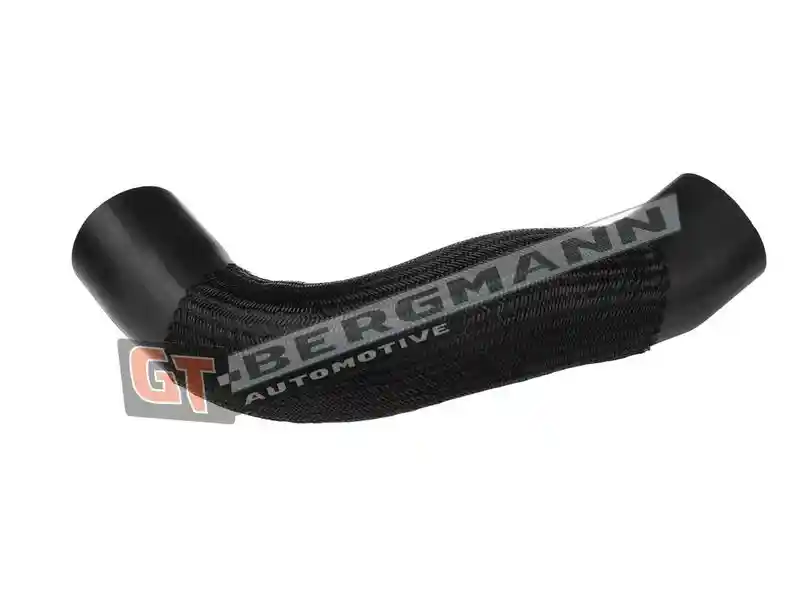 GT-BERGMANN Automotive GT52-610