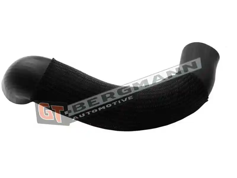 GT-BERGMANN Automotive GT52-620