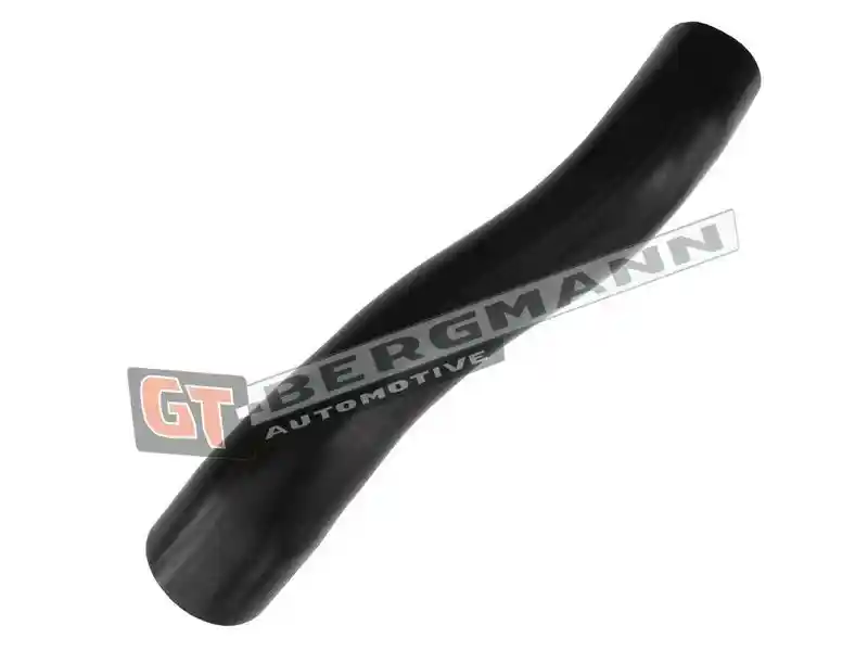 GT-BERGMANN Automotive GT52-624