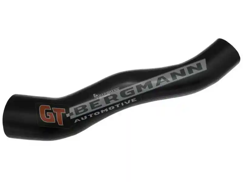 GT-BERGMANN Automotive GT52-624