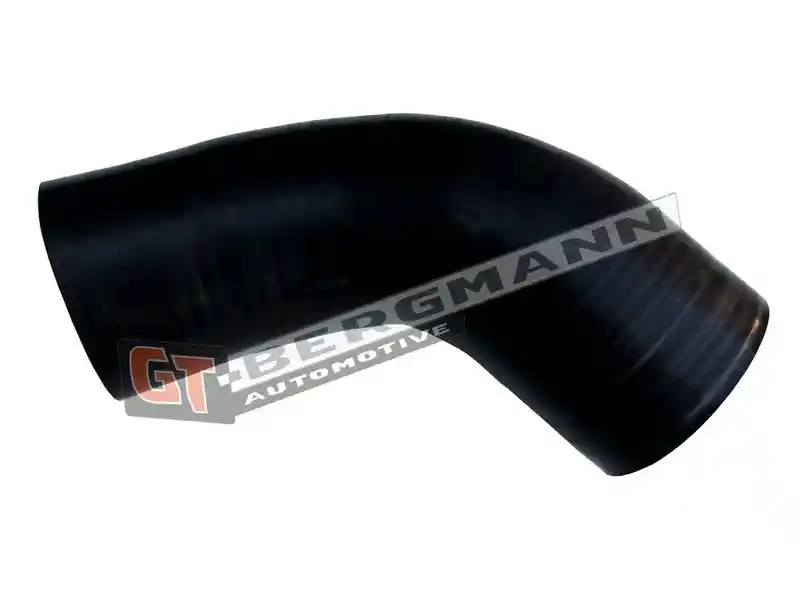 GT-BERGMANN Automotive GT52-669