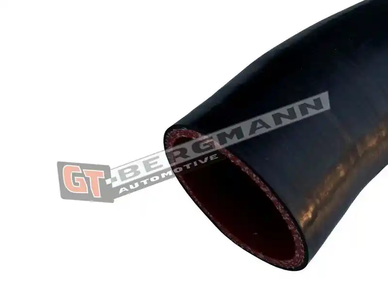 GT-BERGMANN Automotive GT52-669