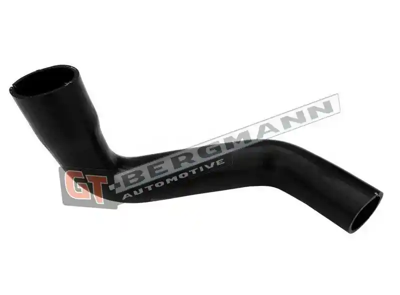 GT-BERGMANN Automotive GT52-675