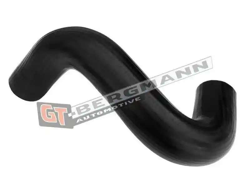 GT-BERGMANN Automotive GT52-684