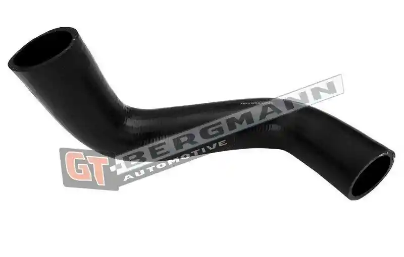 GT-BERGMANN Automotive GT52-702