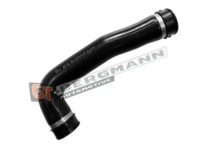 GT-BERGMANN Automotive GT52-780
